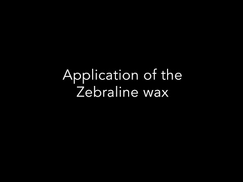 Zebraline | EN