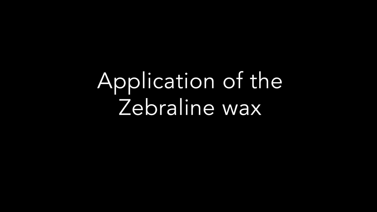 Zebraline | EN