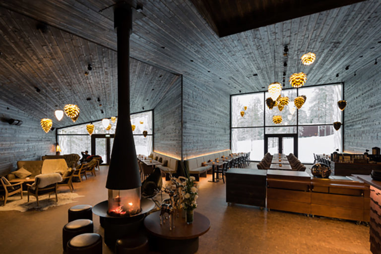 Filifocus Central 1600 by Focus Fires installed in lobby of the Arctic TreeHouse Hotel