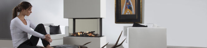 360 by Element4 a four sided linear gas fireplace
