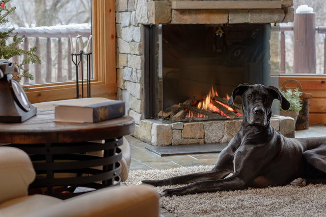 The whole family loves the new fireplace! Photo Credit: John Magnoski