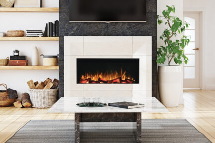 E-FX 1000 Single-Sided by Flamerite