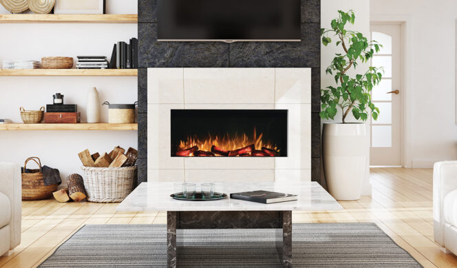 E-FX 1000 Single-Sided by Flamerite